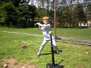 Das Zentrale Nervensystem